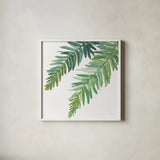 Ferns I Square by Chris Paschke. Shown in a crisp white glass frame for a clean and minimalist style. Available as an archival giclee rolled canvas, fine art paper, or poster print. SKU 24943a.