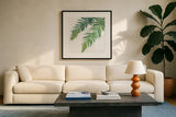 Ferns I Square by Chris Paschke. Displayed in a glass frame with matte in a clean modern living room. Available as an archival giclee rolled canvas, fine art paper, or poster print. SKU 24943a.