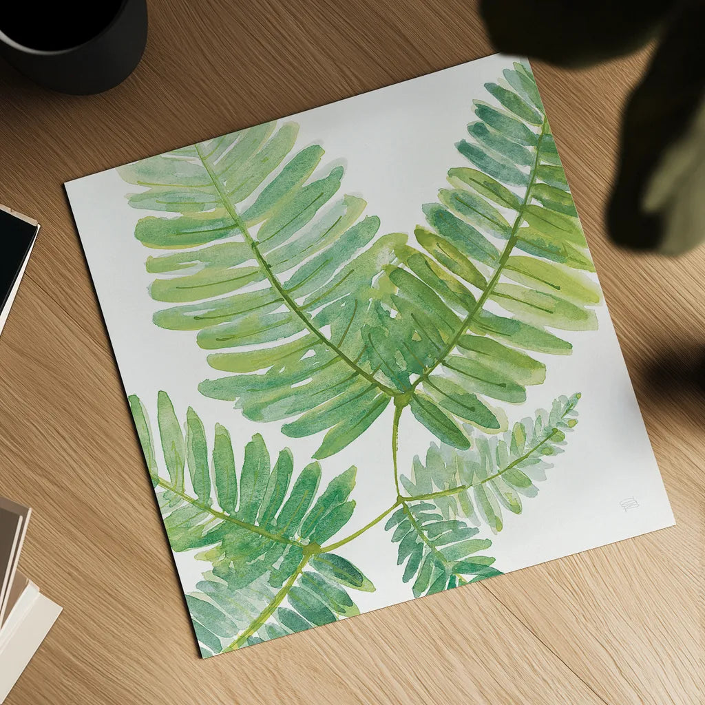 Ferns II Square by Chris Paschke. Shown as a detailed flat fine art print, highlighting archival giclee quality. Available as an archival giclee rolled canvas, fine art paper, or poster print. SKU 24944a.