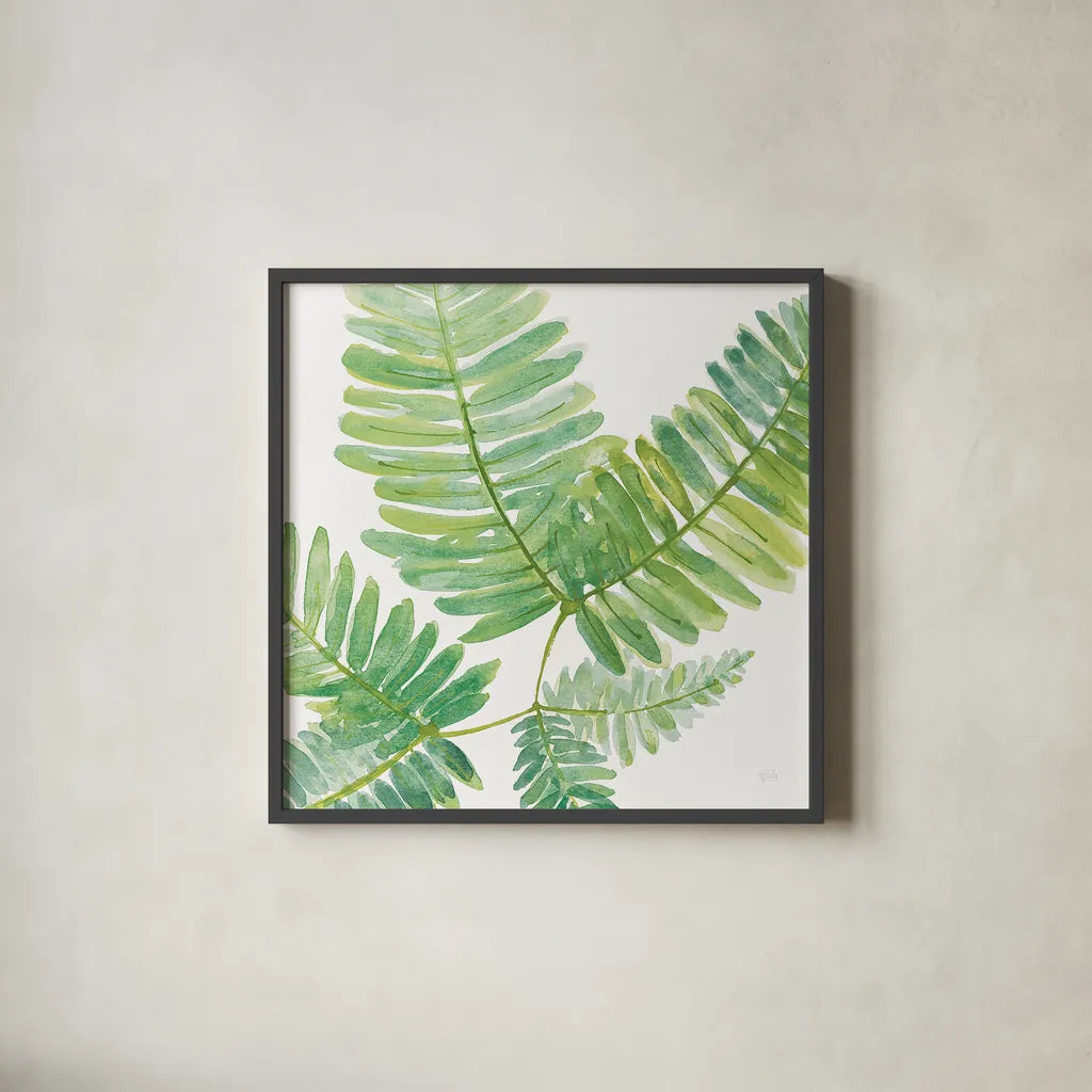 Ferns II Square by Chris Paschke. Shown in a sleek black glass frame for a contemporary gallery look. Available as an archival giclee rolled canvas, fine art paper, or poster print. SKU 24944a.