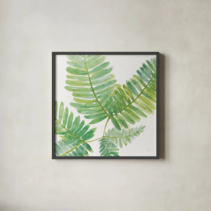 Ferns II Square by Chris Paschke. Shown in a sleek black glass frame for a contemporary gallery look. Available as an archival giclee rolled canvas, fine art paper, or poster print. SKU 24944a.