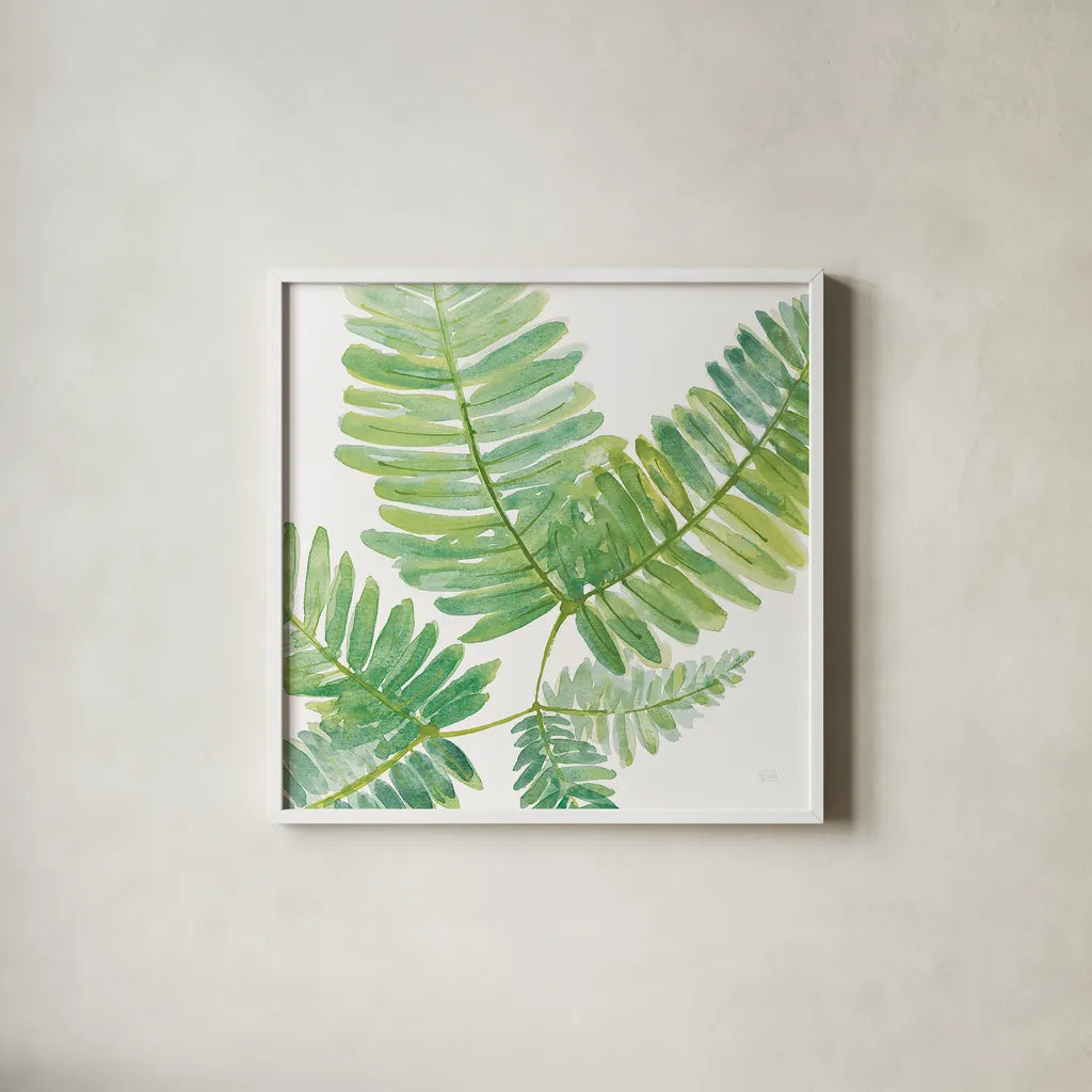 Ferns II Square by Chris Paschke. Shown in a crisp white glass frame for a clean and minimalist style. Available as an archival giclee rolled canvas, fine art paper, or poster print. SKU 24944a.