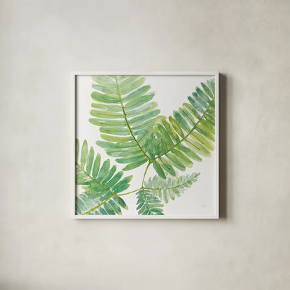 Ferns II Square by Chris Paschke. Shown in a crisp white glass frame for a clean and minimalist style. Available as an archival giclee rolled canvas, fine art paper, or poster print. SKU 24944a.