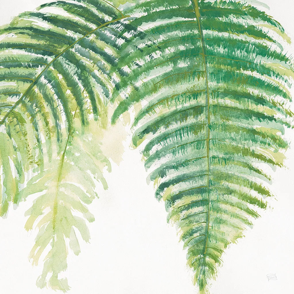 Ferns III Square by Chris Paschke. SKU 24945a. Archival Giclee Fine art print for wall decor.