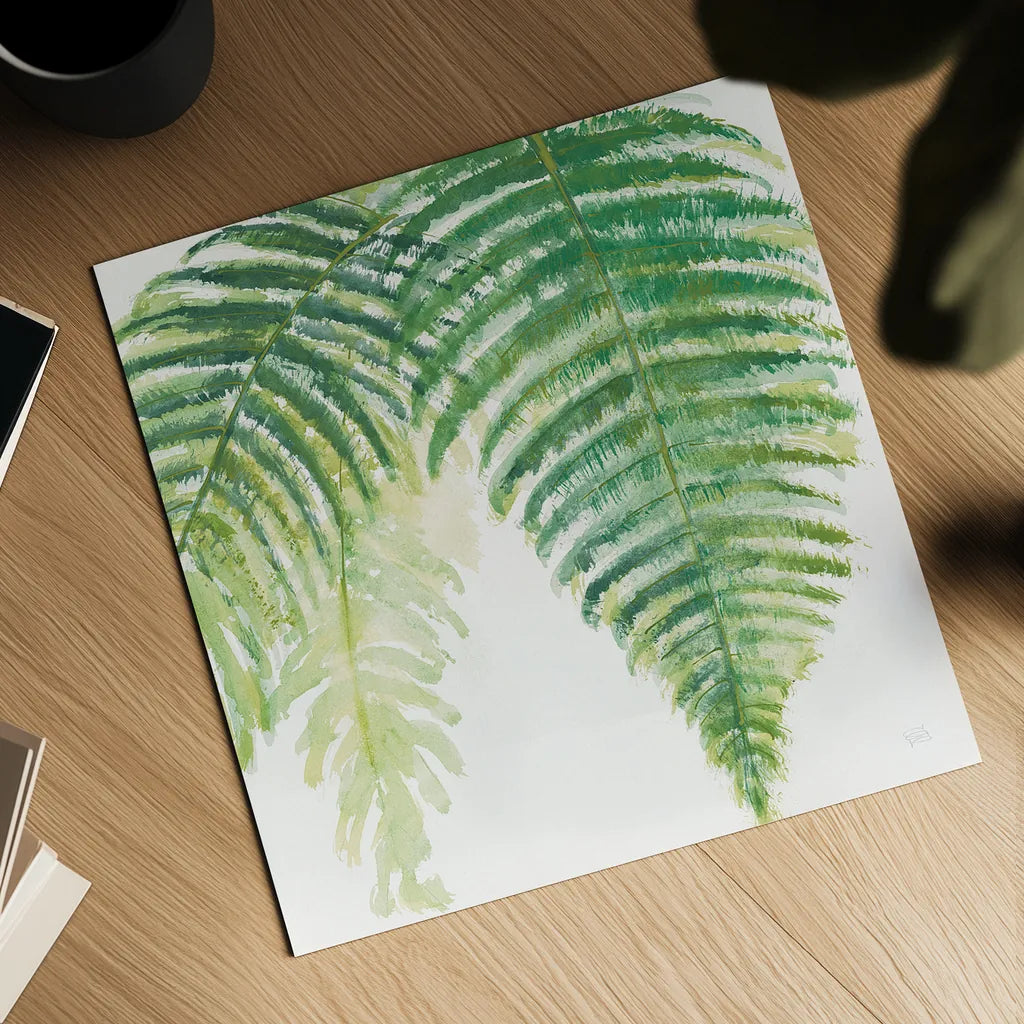 Ferns III Square by Chris Paschke. Shown as a detailed flat fine art print, highlighting archival giclee quality. Available as an archival giclee rolled canvas, fine art paper, or poster print. SKU 24945a.