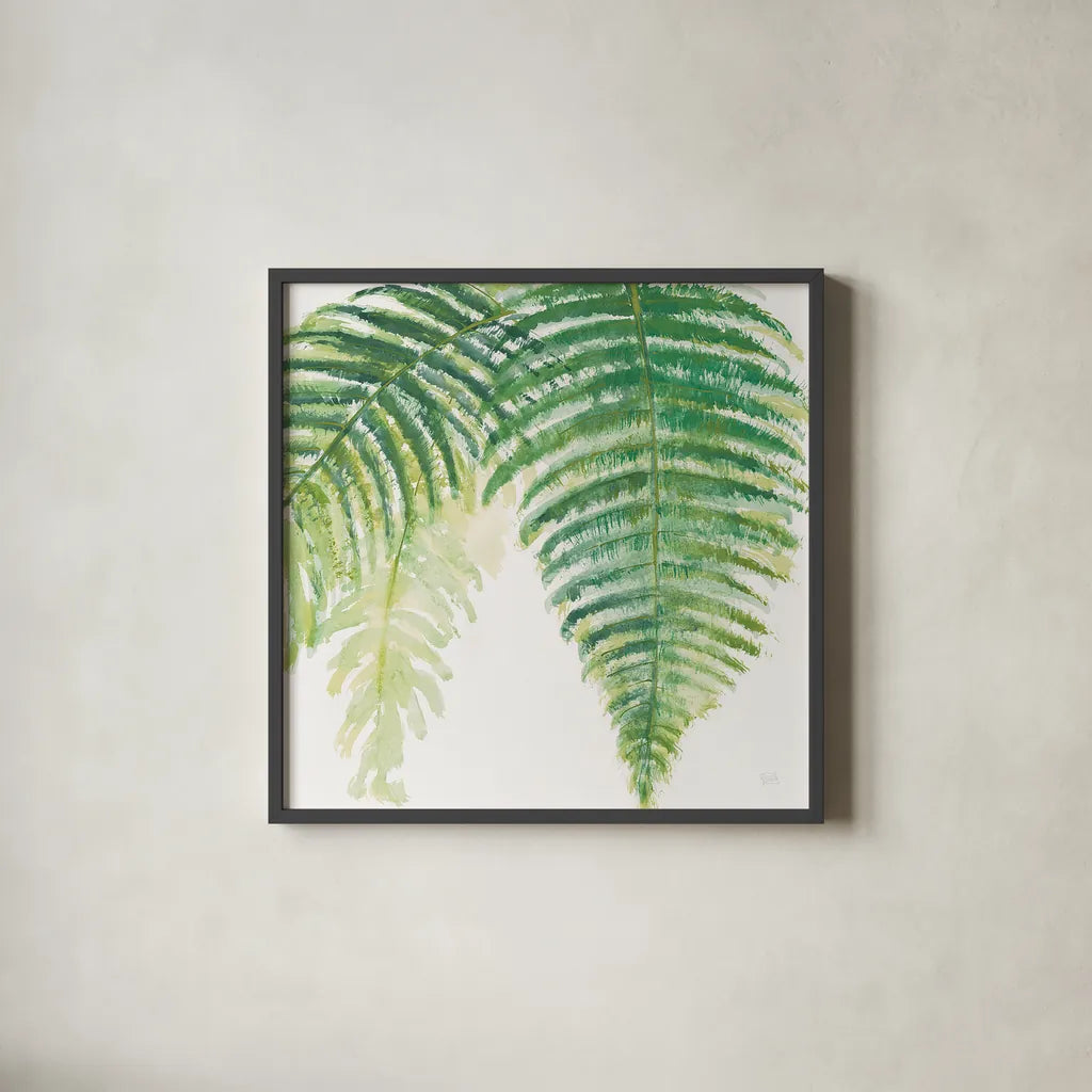 Ferns III Square by Chris Paschke. Shown in a sleek black glass frame for a contemporary gallery look. Available as an archival giclee rolled canvas, fine art paper, or poster print. SKU 24945a.