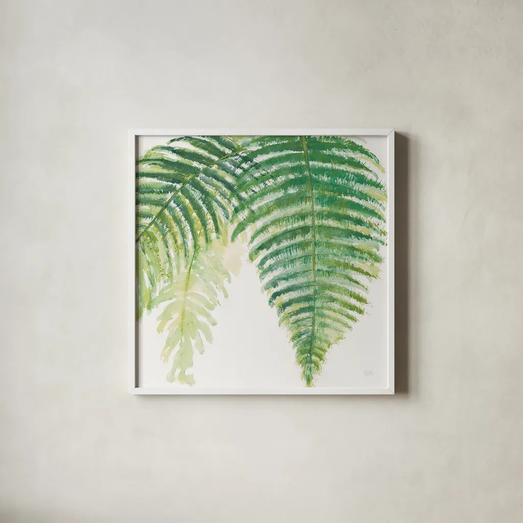 Ferns III Square by Chris Paschke. Shown in a crisp white glass frame for a clean and minimalist style. Available as an archival giclee rolled canvas, fine art paper, or poster print. SKU 24945a.