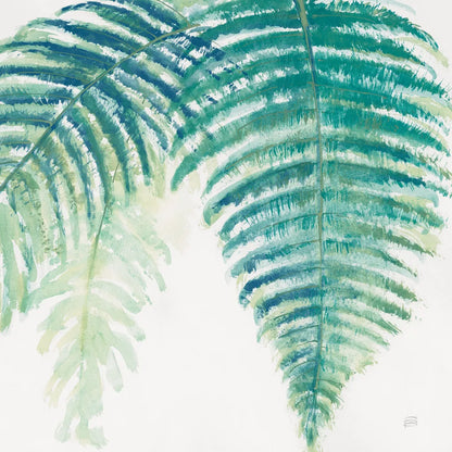 Ferns III Square Cool by Chris Paschke. SKU 59774a. Archival Giclee Fine art print for wall decor.