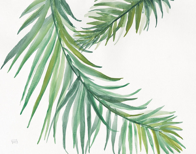 Ferns IV by Chris Paschke