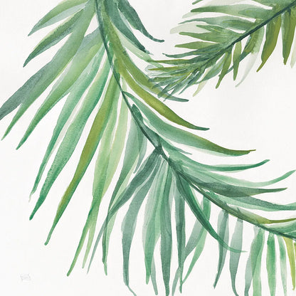 Ferns IV Square by Chris Paschke. SKU 24946a. Archival Giclee Fine art print for wall decor.