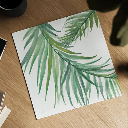 Ferns IV Square by Chris Paschke. Shown as a detailed flat fine art print, highlighting archival giclee quality. Available as an archival giclee rolled canvas, fine art paper, or poster print. SKU 24946a.