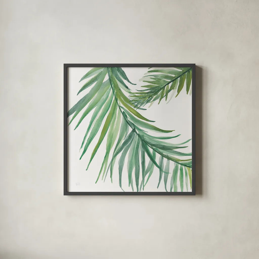 Ferns IV Square by Chris Paschke. Shown in a sleek black glass frame for a contemporary gallery look. Available as an archival giclee rolled canvas, fine art paper, or poster print. SKU 24946a.