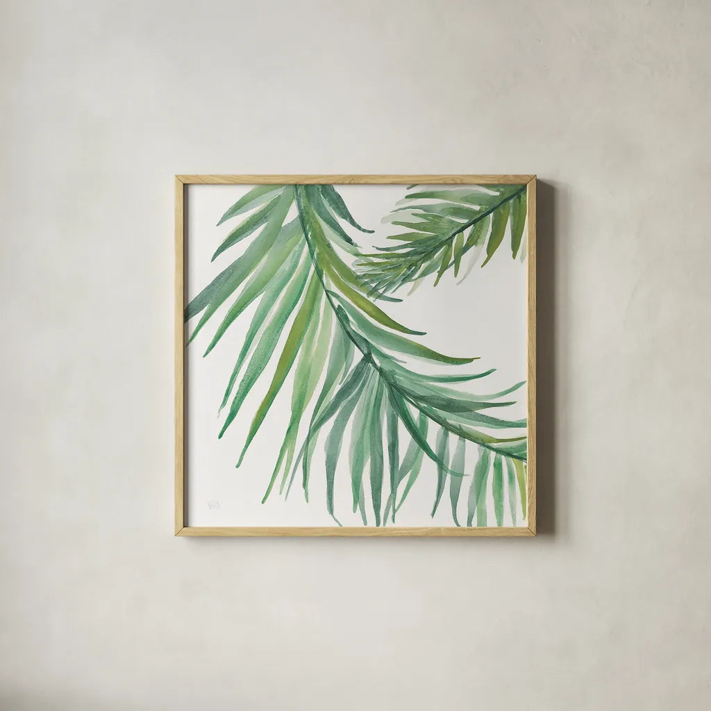 Ferns IV Square by Chris Paschke. Shown in a natural wood glass frame for a timeless modern aesthetic. Available as an archival giclee rolled canvas, fine art paper, or poster print. SKU 24946a.