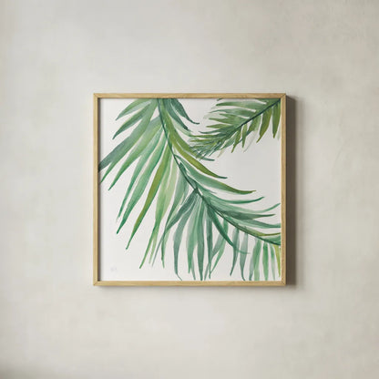 Ferns IV Square by Chris Paschke. Shown in a natural wood glass frame for a timeless modern aesthetic. Available as an archival giclee rolled canvas, fine art paper, or poster print. SKU 24946a.