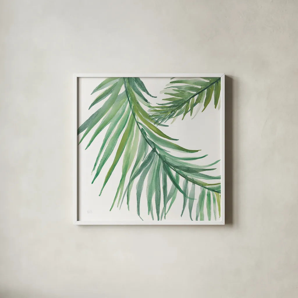 Ferns IV Square by Chris Paschke. Shown in a crisp white glass frame for a clean and minimalist style. Available as an archival giclee rolled canvas, fine art paper, or poster print. SKU 24946a.