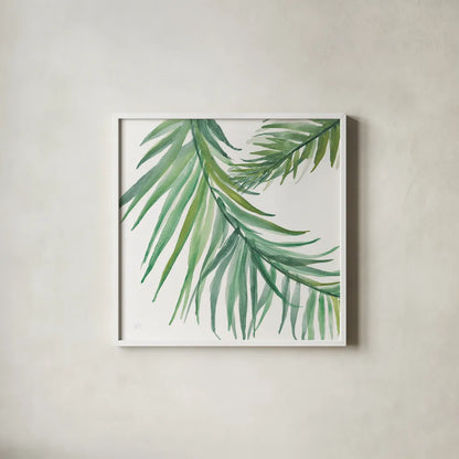 Ferns IV Square by Chris Paschke. Shown in a crisp white glass frame for a clean and minimalist style. Available as an archival giclee rolled canvas, fine art paper, or poster print. SKU 24946a.