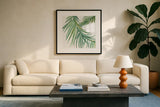 Ferns IV Square by Chris Paschke. Displayed in a glass frame with matte in a clean modern living room. Available as an archival giclee rolled canvas, fine art paper, or poster print. SKU 24946a.