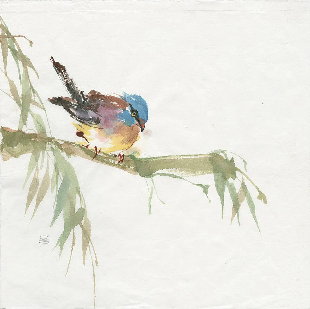 Finch by Chris Paschke. SKU 23938a. Archival Giclee Fine art print for wall decor.