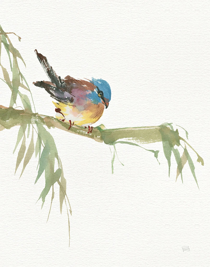 Finch v2 by Chris Paschke