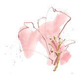 Floral Blossom III by Chris Paschke. SKU 82452a. Archival Giclee Fine art print for wall decor.