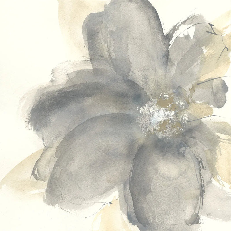 Floral Gray I by Chris Paschke. SKU 33984a. Archival Giclee Fine art print for wall decor.