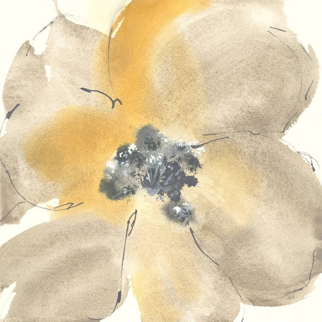 Flower Tones I by Chris Paschke. SKU 33988a. Archival Giclee Fine art print for wall decor.