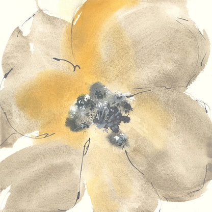 Flower Tones I by Chris Paschke. SKU 33988a. Archival Giclee Fine art print for wall decor.