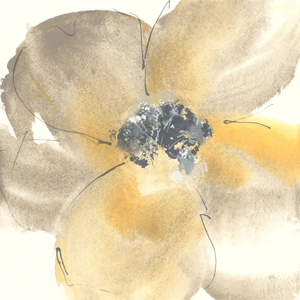 Flower Tones II by Chris Paschke. SKU 33989a. Archival Giclee Fine art print for wall decor.