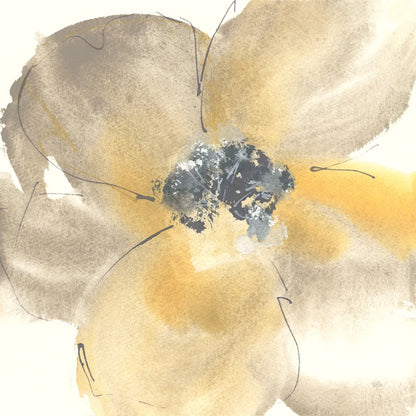 Flower Tones II by Chris Paschke. SKU 33989a. Archival Giclee Fine art print for wall decor.