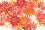 Flowers Afield III by Chris Paschke. SKU 50154i. Archival Giclee Fine art print for wall decor.