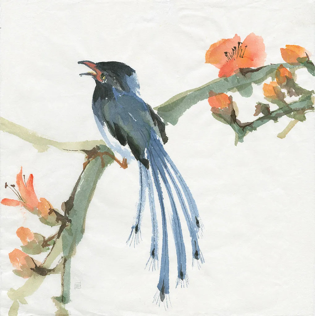 Formosan Blue Magpie by Chris Paschke. SKU 23939a. Archival Giclee Fine art print for wall decor.