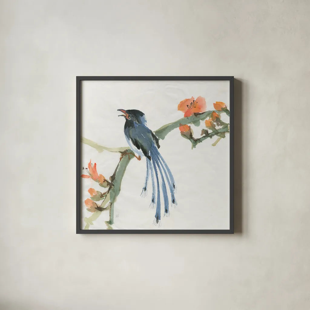Formosan Blue Magpie by Chris Paschke. Shown in a sleek black glass frame for a contemporary gallery look. Available as an archival giclee rolled canvas, fine art paper, or poster print. SKU 23939a.