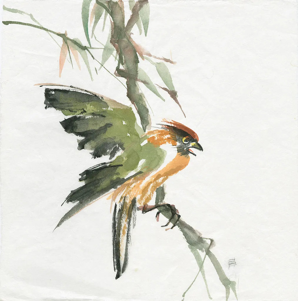 Formosan Firecrest by Chris Paschke. SKU 23940a. Archival Giclee Fine art print for wall decor.