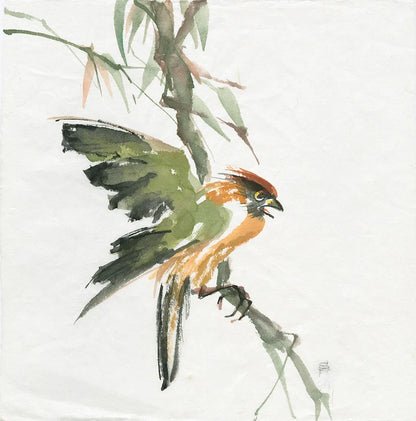 Formosan Firecrest by Chris Paschke. SKU 23940a. Archival Giclee Fine art print for wall decor.