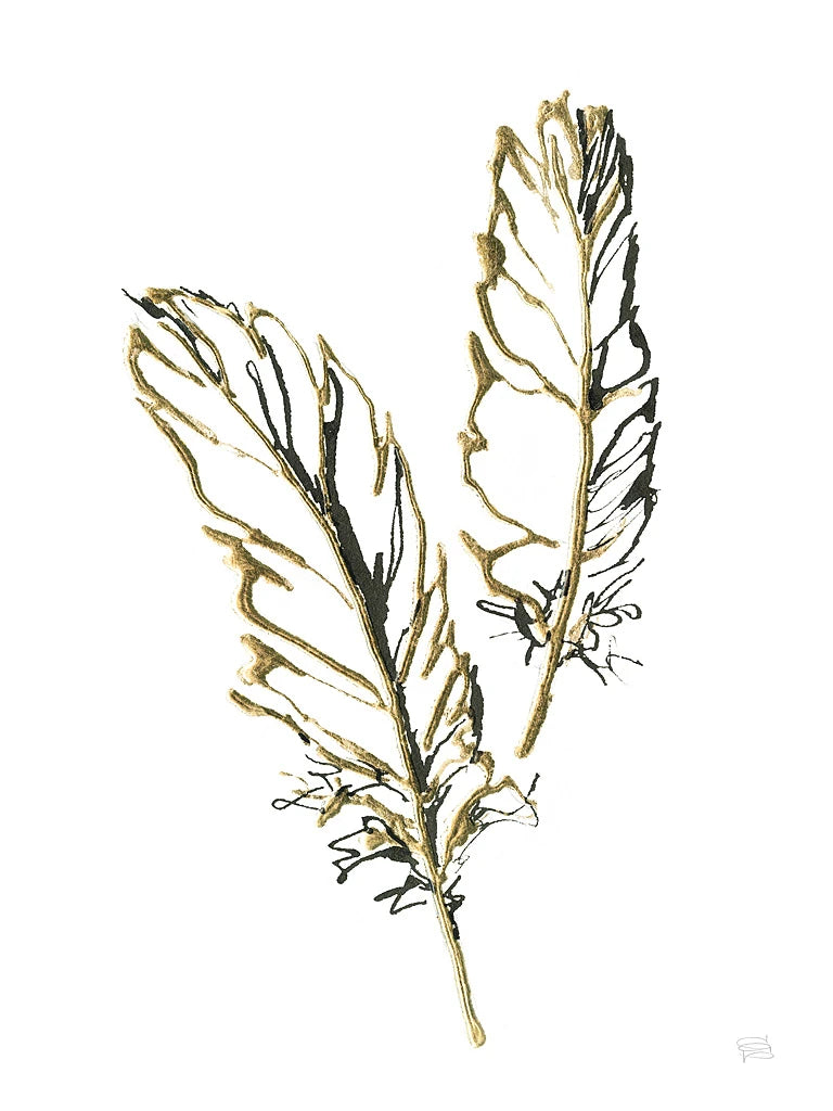 Gilded Barn Owl Feather by Chris Paschke