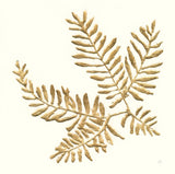 Gilded Fern II by Chris Paschke. SKU 57196a. Archival Giclee Fine art print for wall decor.