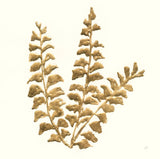 Gilded Fern III by Chris Paschke. SKU 57197a. Archival Giclee Fine art print for wall decor.