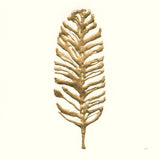 Gilded Palm III by Chris Paschke. SKU 57201a. Archival Giclee Fine art print for wall decor.
