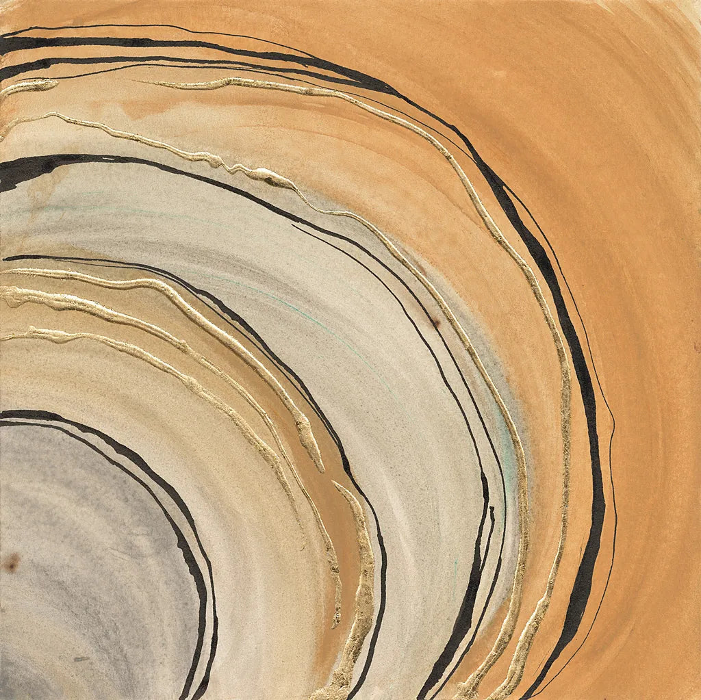 Gilded Rings by Chris Paschke. SKU 26753a. Archival Giclee Fine art print for wall decor.