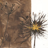 Gilded Thistle I by Chris Paschke. SKU 96185a. Archival Giclee Fine art print for wall decor.