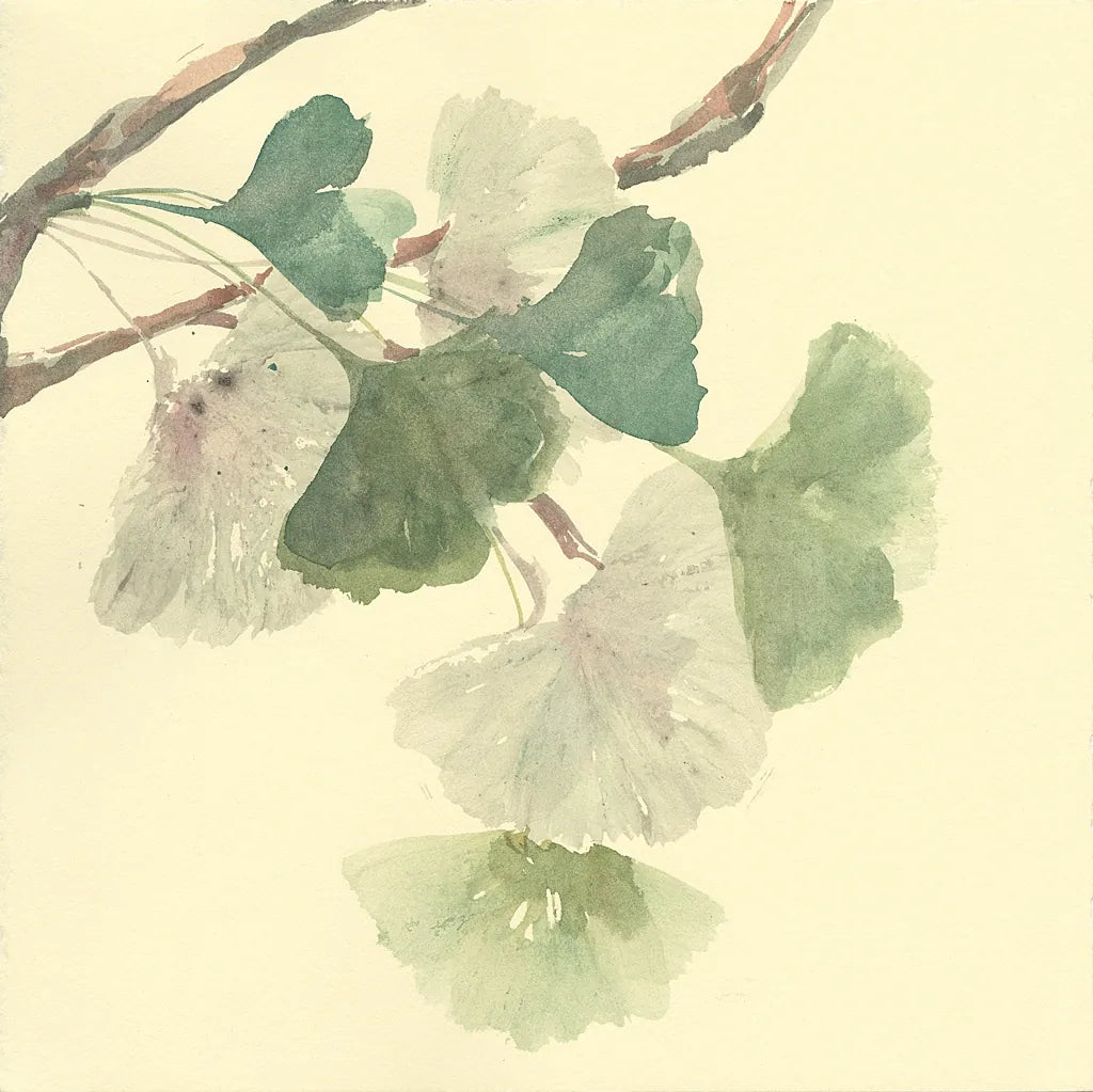 Gingko Leaves I by Chris Paschke. SKU 28612a. Archival Giclee Fine art print for wall decor.