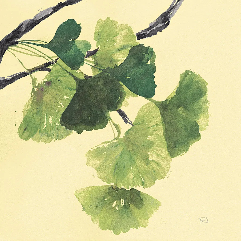 Gingko Leaves I Dark by Chris Paschke. SKU 31586a. Archival Giclee Fine art print for wall decor.