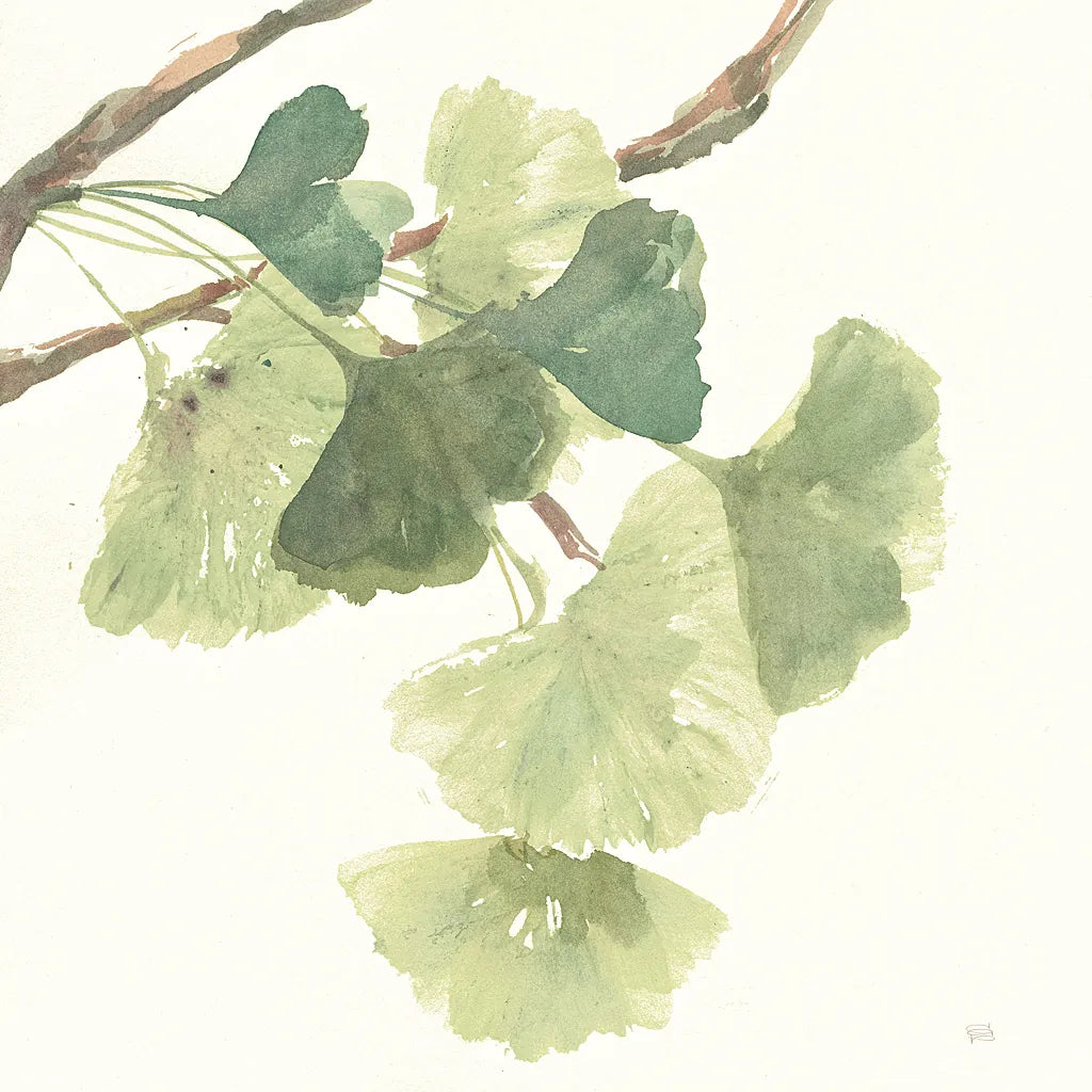 Gingko Leaves I Light by Chris Paschke. SKU 29296a. Archival Giclee Fine art print for wall decor.