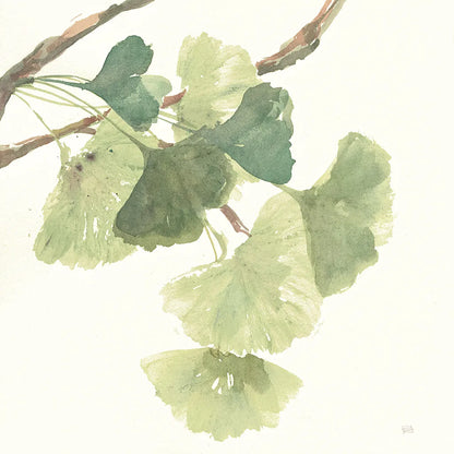 Gingko Leaves I Light by Chris Paschke. SKU 29296a. Archival Giclee Fine art print for wall decor.