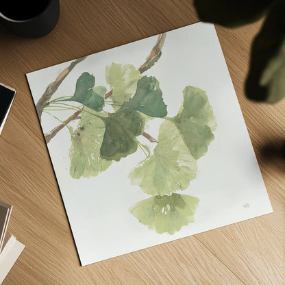 Gingko Leaves I on White by Chris Paschke. Shown as a detailed flat fine art print, highlighting archival giclee quality. Available as an archival giclee rolled canvas, fine art paper, or poster print. SKU 30858a.