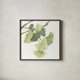 Gingko Leaves I on White by Chris Paschke. Shown in a sleek black glass frame for a contemporary gallery look. Available as an archival giclee rolled canvas, fine art paper, or poster print. SKU 30858a.