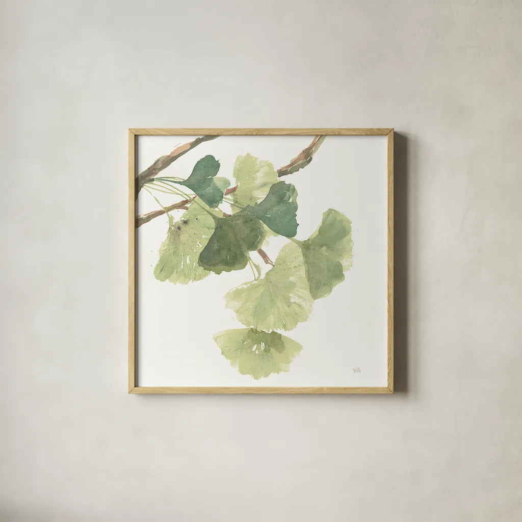 Gingko Leaves I on White by Chris Paschke. Shown in a natural wood glass frame for a timeless modern aesthetic. Available as an archival giclee rolled canvas, fine art paper, or poster print. SKU 30858a.