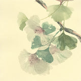 Gingko Leaves II by Chris Paschke. SKU 28613a. Archival Giclee Fine art print for wall decor.