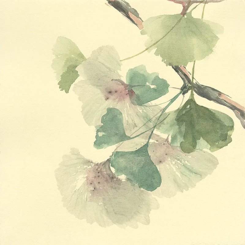 Gingko Leaves II by Chris Paschke. SKU 28613a. Archival Giclee Fine art print for wall decor.