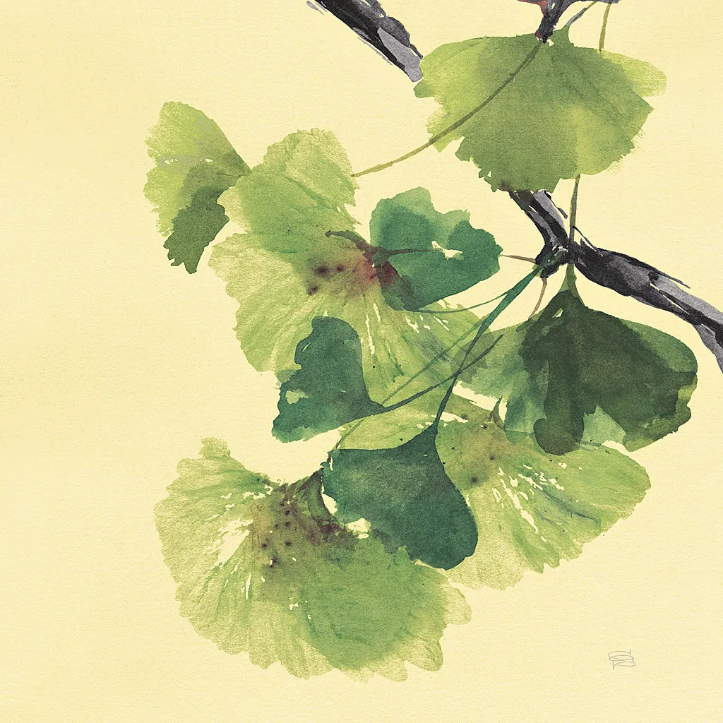 Gingko Leaves II Dark by Chris Paschke. SKU 31587a. Archival Giclee Fine art print for wall decor.
